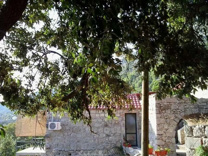Cottage Melita The Apartment For Animal Lovers Babino Polje Exterior foto