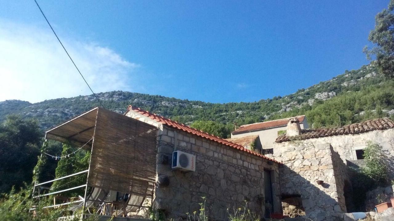 Cottage Melita The Apartment For Animal Lovers Babino Polje Exterior foto