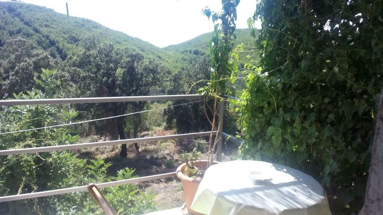Cottage Melita The Apartment For Animal Lovers Babino Polje Exterior foto