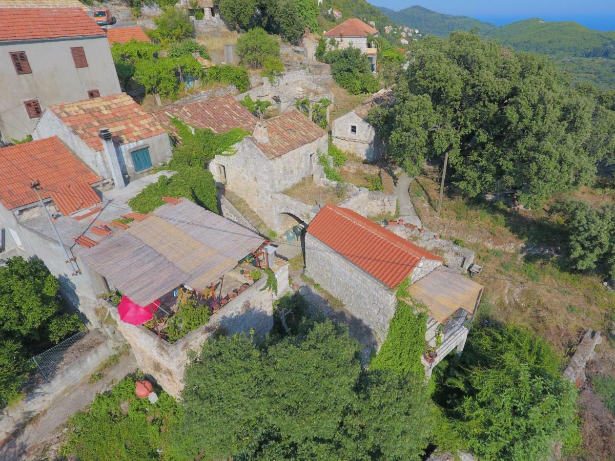 Cottage Melita The Apartment For Animal Lovers Babino Polje Exterior foto
