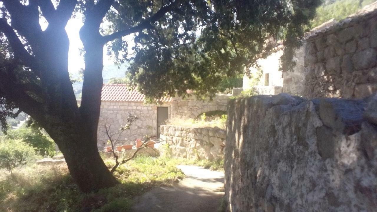 Cottage Melita The Apartment For Animal Lovers Babino Polje Exterior foto