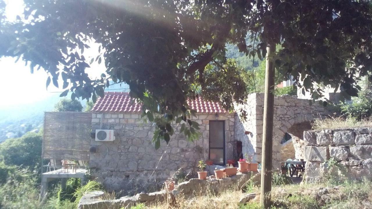 Cottage Melita The Apartment For Animal Lovers Babino Polje Exterior foto