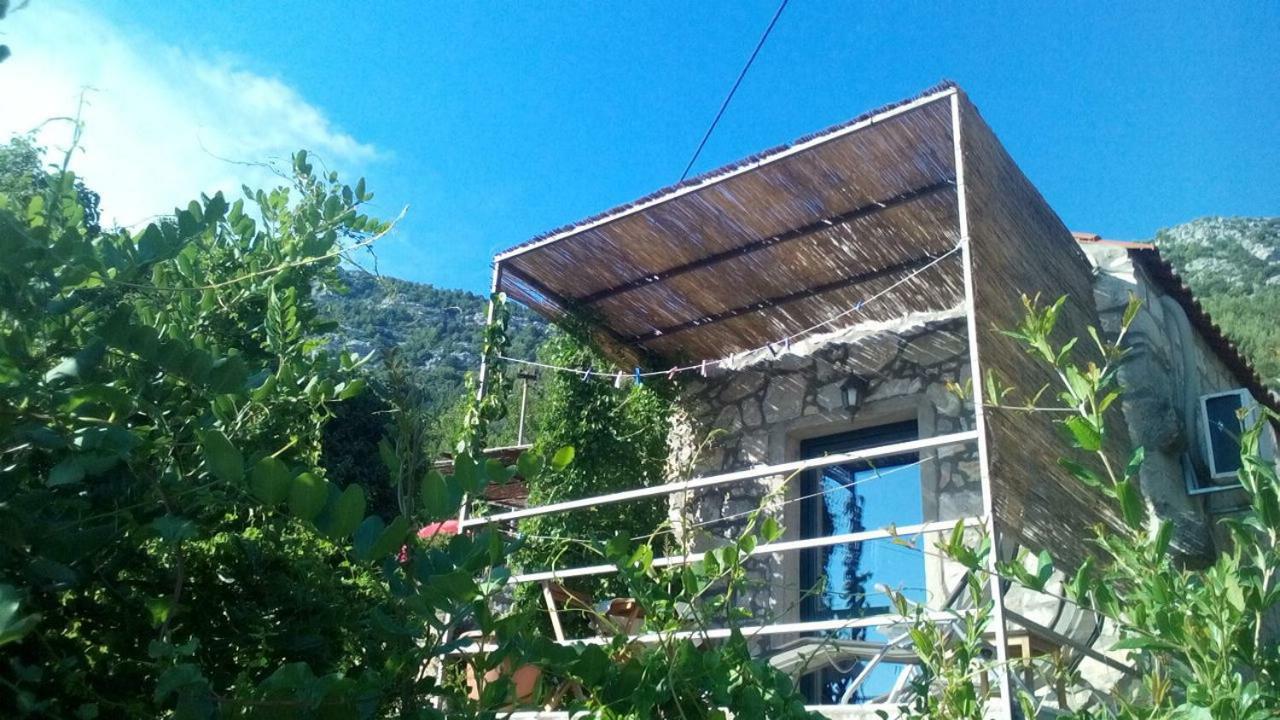 Cottage Melita The Apartment For Animal Lovers Babino Polje Exterior foto