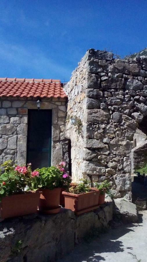 Cottage Melita The Apartment For Animal Lovers Babino Polje Exterior foto