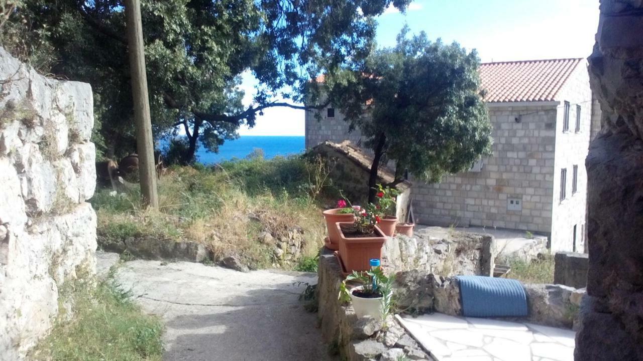 Cottage Melita The Apartment For Animal Lovers Babino Polje Exterior foto