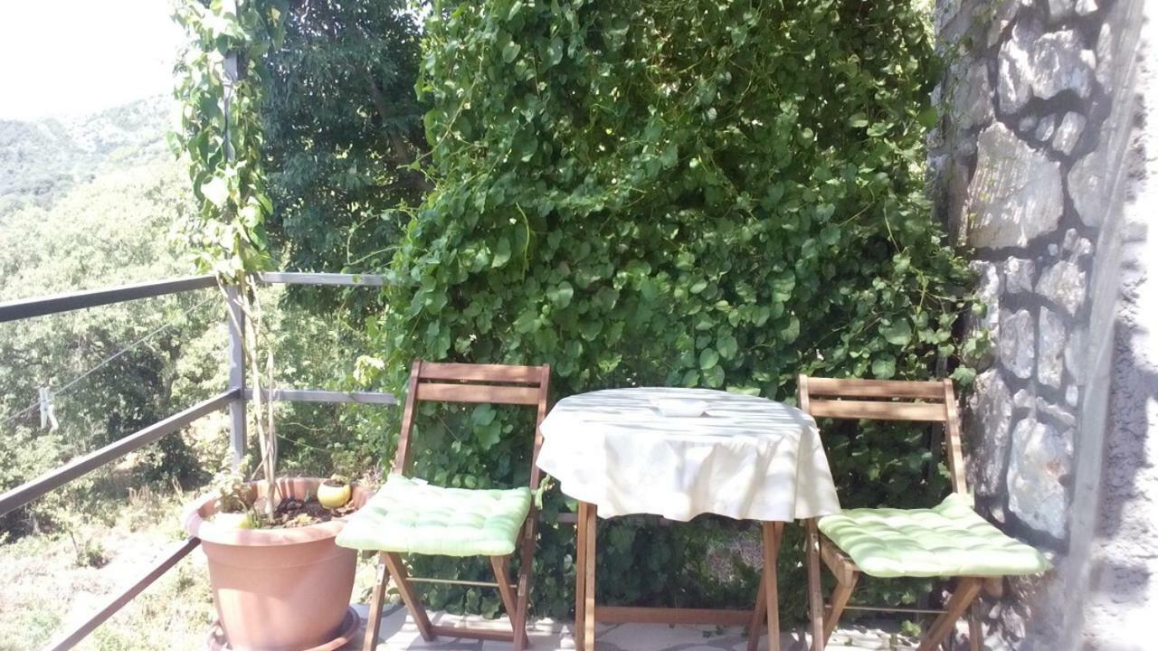 Cottage Melita The Apartment For Animal Lovers Babino Polje Exterior foto
