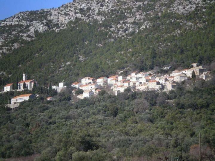 Cottage Melita The Apartment For Animal Lovers Babino Polje Exterior foto