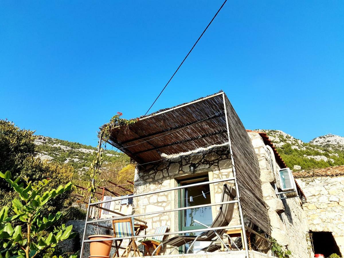 Cottage Melita The Apartment For Animal Lovers Babino Polje Exterior foto