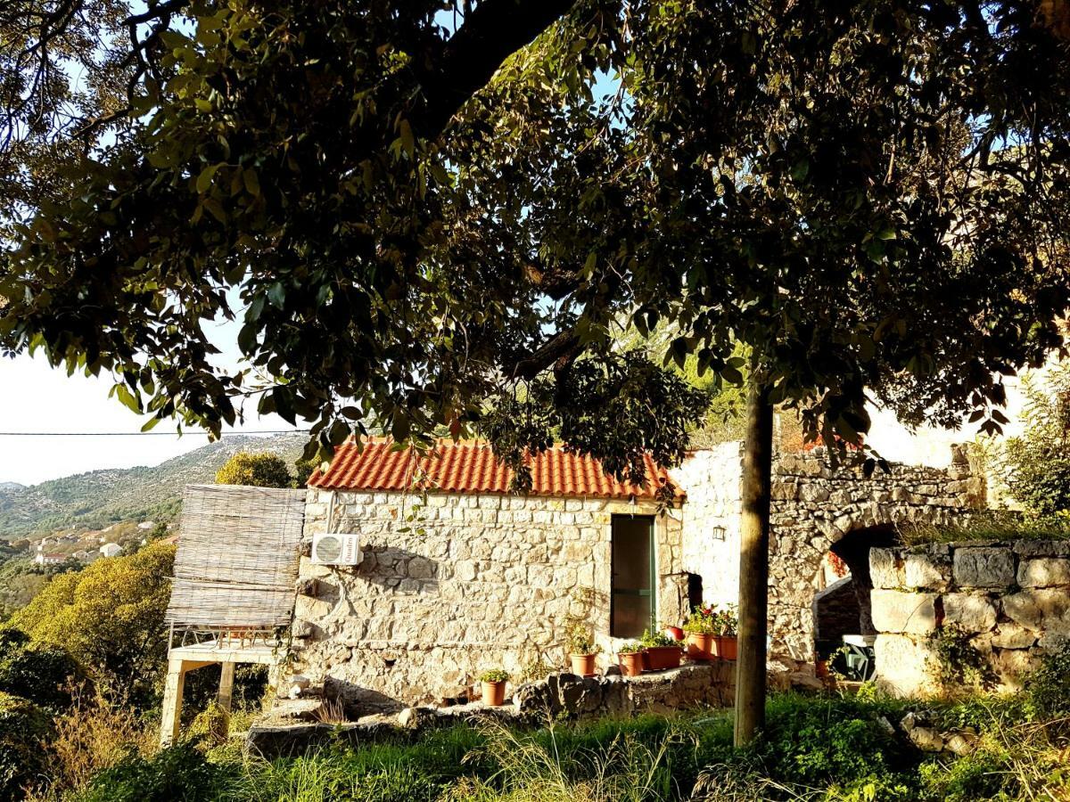 Cottage Melita The Apartment For Animal Lovers Babino Polje Exterior foto